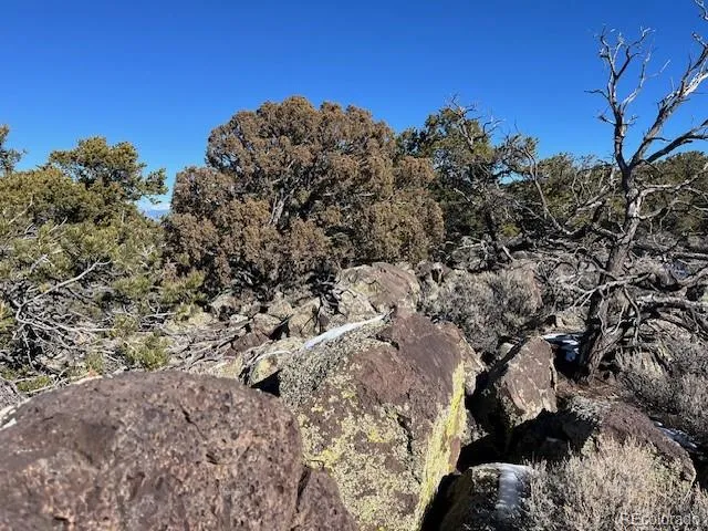 Lot 8 Coyote Court San Luis, CO 81152