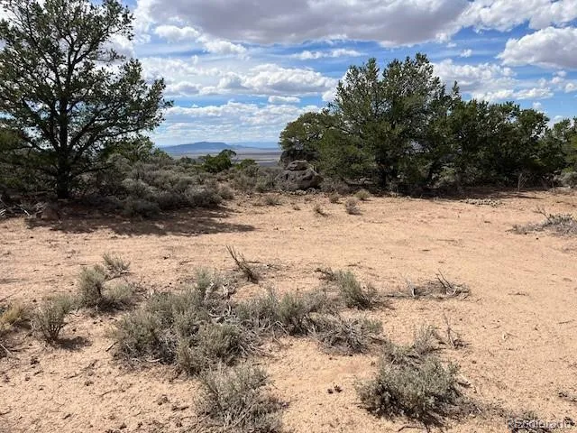 Lot 8 Coyote Court San Luis, CO 81152