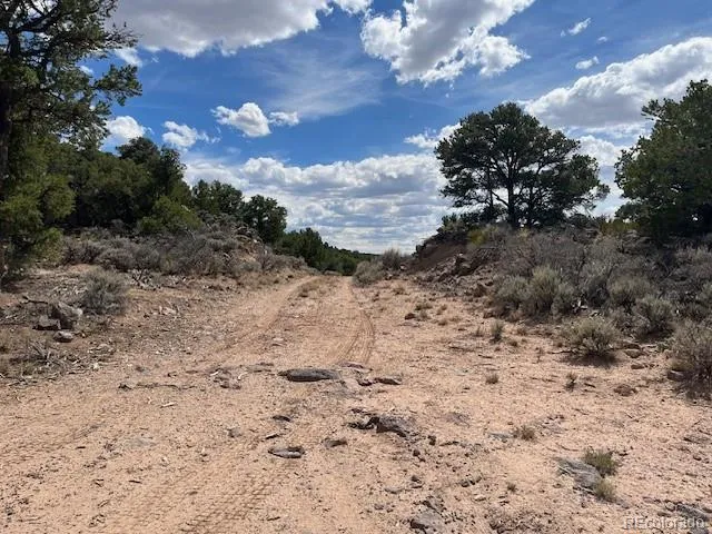 Lot 8 Coyote Court San Luis, CO 81152
