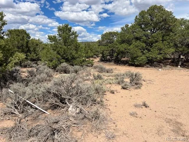 Lot 8 Coyote Court San Luis, CO 81152