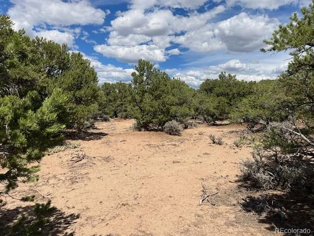 Lot 8 Coyote Court San Luis, CO 81152
