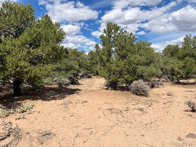 Lot 8 Coyote Court San Luis, CO 81152