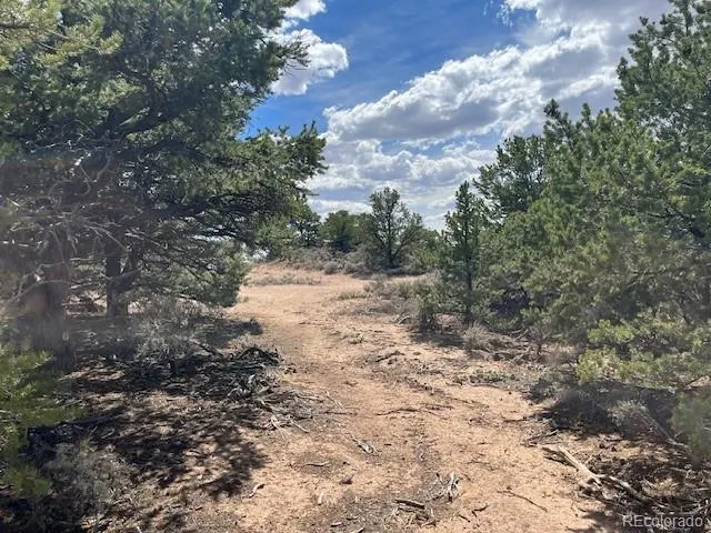 Lot 8 Coyote Court San Luis, CO 81152