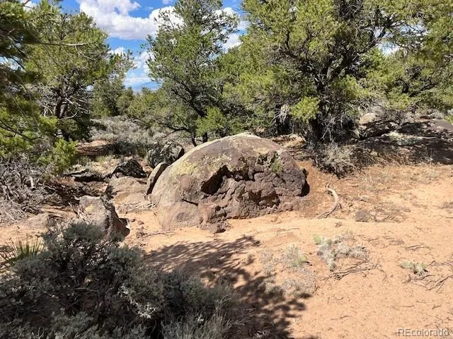 Lot 8 Coyote Court San Luis, CO 81152