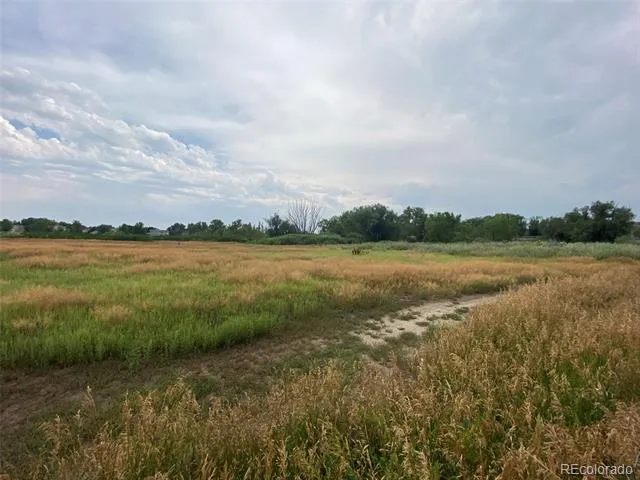 12380 York Street Thornton, CO 80241