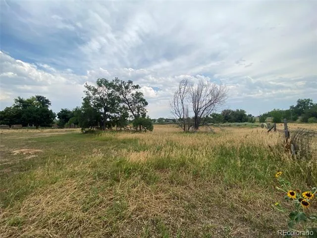 12380 York Street Thornton, CO 80241