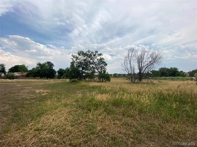 12380 York Street Thornton, CO 80241