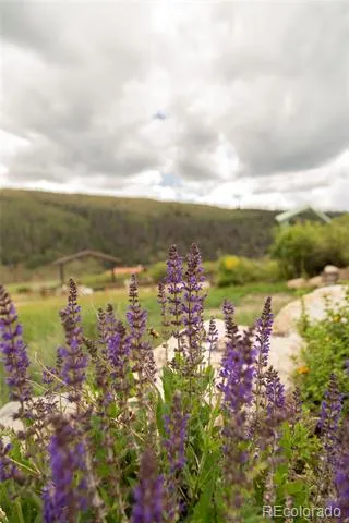 1001 CR 17 Gunnison Cabin Lake City, CO 81235