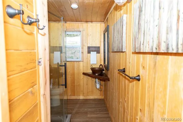 1001 CR 17 Gunnison Cabin Lake City, CO 81235