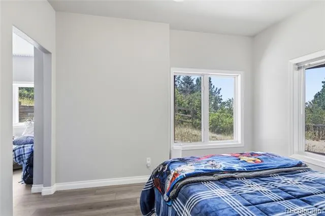 17215 Fairplay Drive Monument, CO 80132