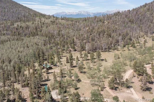 115 Mushroom Court Buena Vista, CO 81211