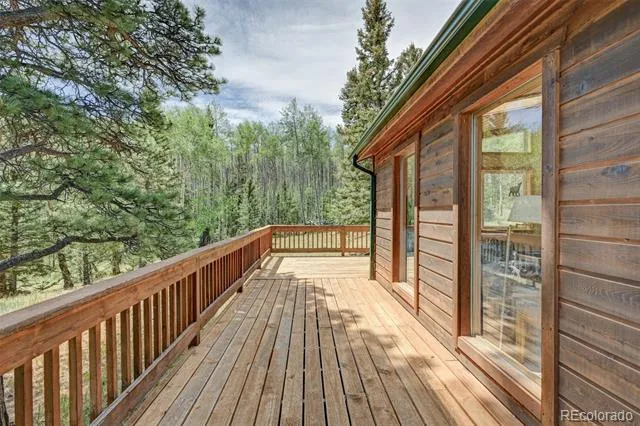 115 Mushroom Court Buena Vista, CO 81211