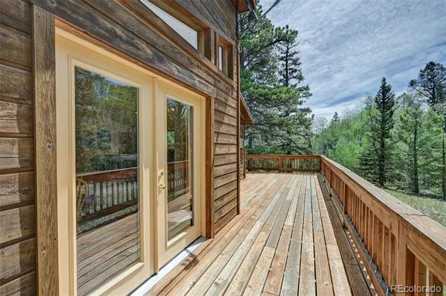115 Mushroom Court Buena Vista, CO 81211