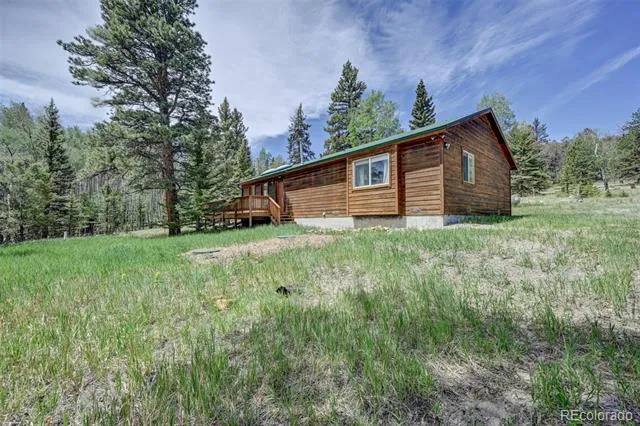 115 Mushroom Court Buena Vista, CO 81211