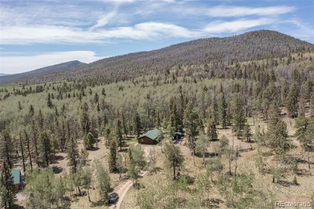 115 Mushroom Court Buena Vista, CO 81211