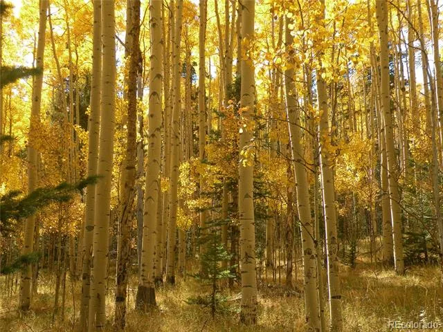 115 Mushroom Court Buena Vista, CO 81211