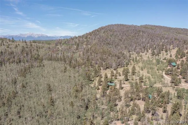 115 Mushroom Court Buena Vista, CO 81211