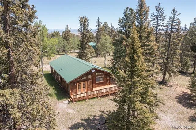 115 Mushroom Court Buena Vista, CO 81211