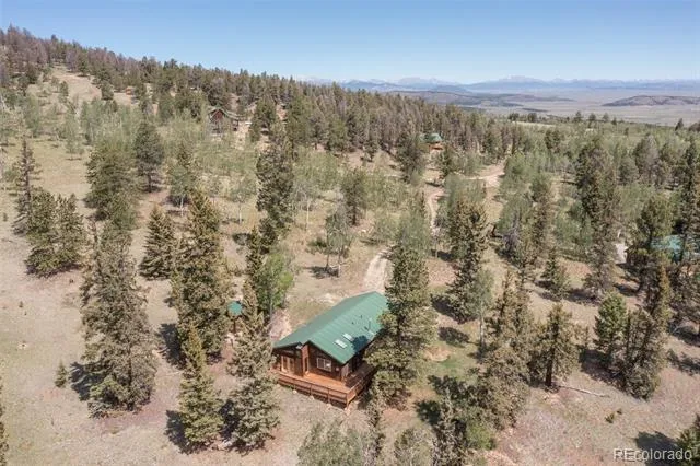 115 Mushroom Court Buena Vista, CO 81211