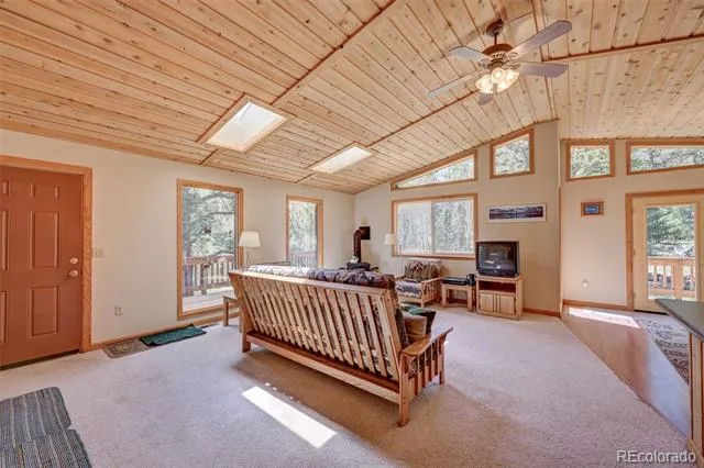 115 Mushroom Court Buena Vista, CO 81211