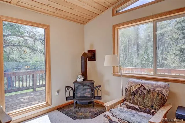 115 Mushroom Court Buena Vista, CO 81211