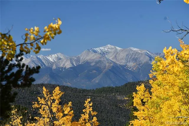 115 Mushroom Court Buena Vista, CO 81211