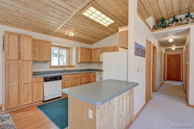 115 Mushroom Court Buena Vista, CO 81211