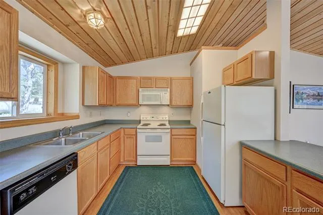 115 Mushroom Court Buena Vista, CO 81211