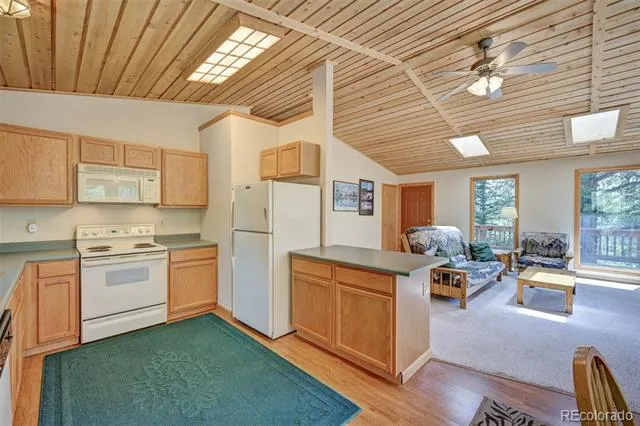 115 Mushroom Court Buena Vista, CO 81211