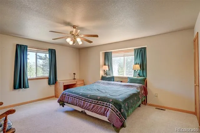 115 Mushroom Court Buena Vista, CO 81211