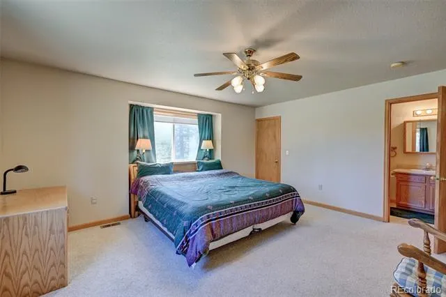 115 Mushroom Court Buena Vista, CO 81211