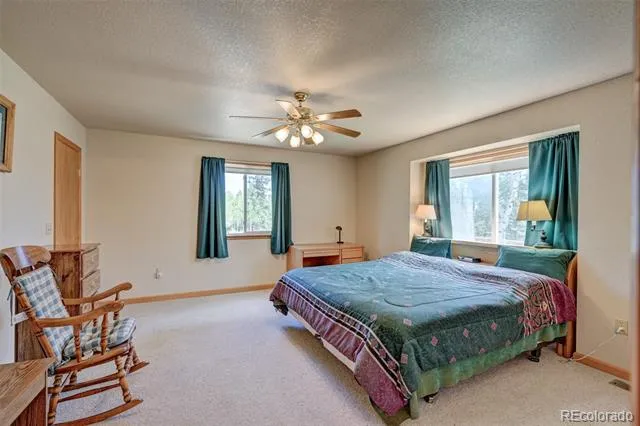 115 Mushroom Court Buena Vista, CO 81211