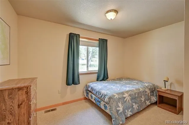 115 Mushroom Court Buena Vista, CO 81211