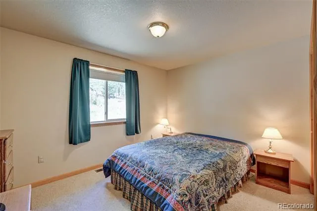 115 Mushroom Court Buena Vista, CO 81211
