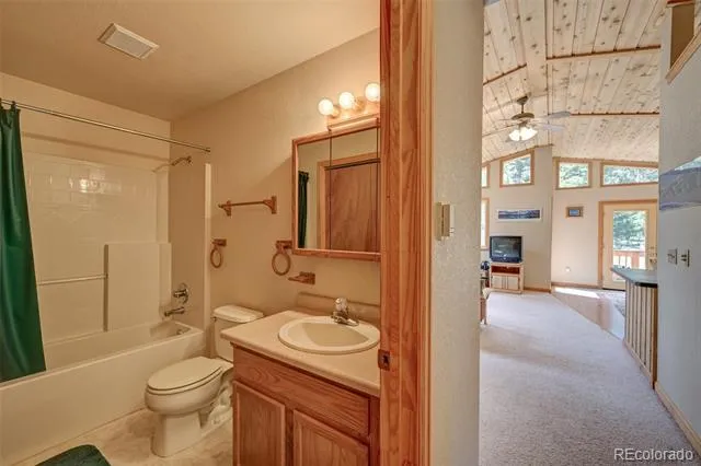 115 Mushroom Court Buena Vista, CO 81211