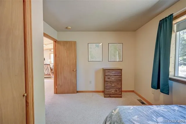 115 Mushroom Court Buena Vista, CO 81211
