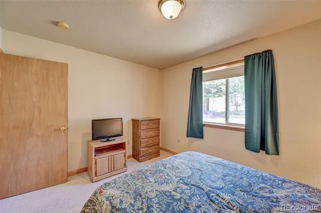 115 Mushroom Court Buena Vista, CO 81211