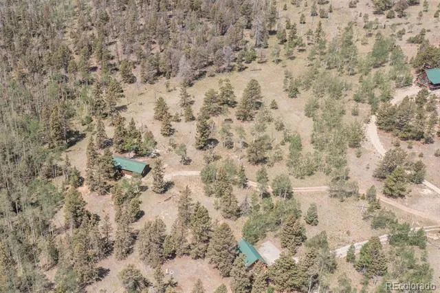 115 Mushroom Court Buena Vista, CO 81211