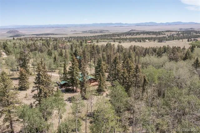 115 Mushroom Court Buena Vista, CO 81211