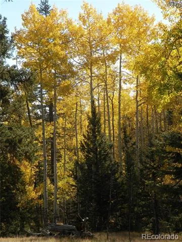 115 Mushroom Court Buena Vista, CO 81211
