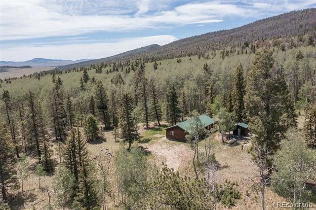 115 Mushroom Court Buena Vista, CO 81211