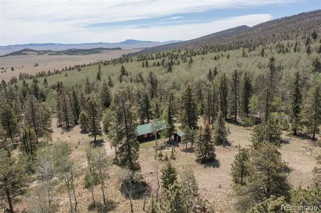 115 Mushroom Court Buena Vista, CO 81211