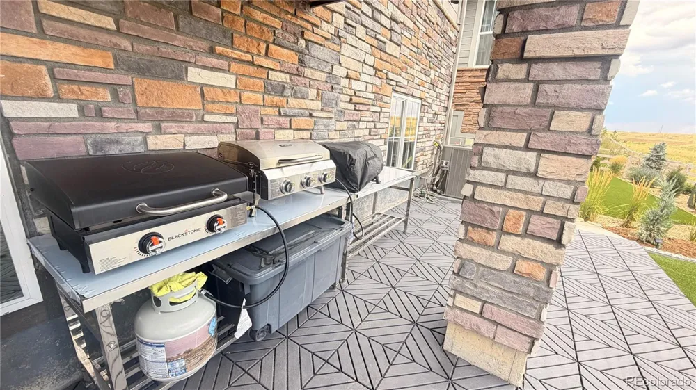 8196 Mount Kataka Street Littleton, CO 80125