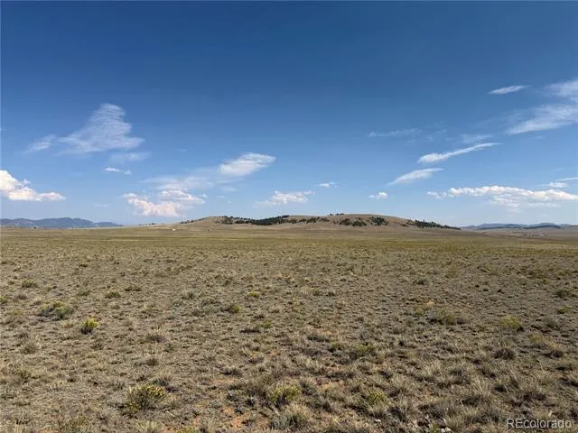 294 Hinsdale Road Hartsel, CO 80449