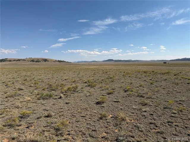 294 Hinsdale Road Hartsel, CO 80449