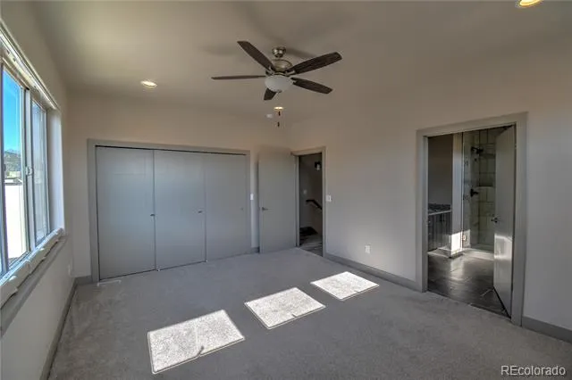 1139 Agate Lane Poncha Springs, CO 81242