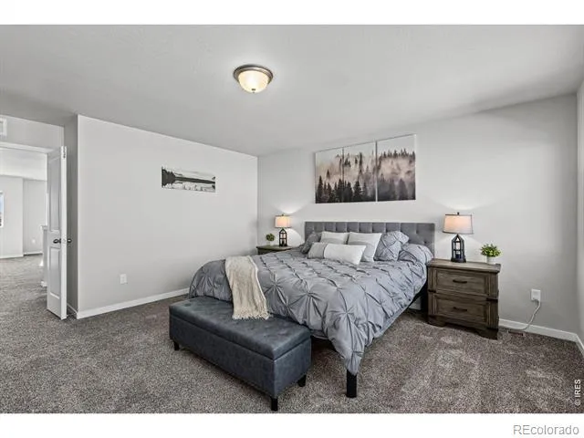 5523 Segundo Drive Loveland, CO 80538