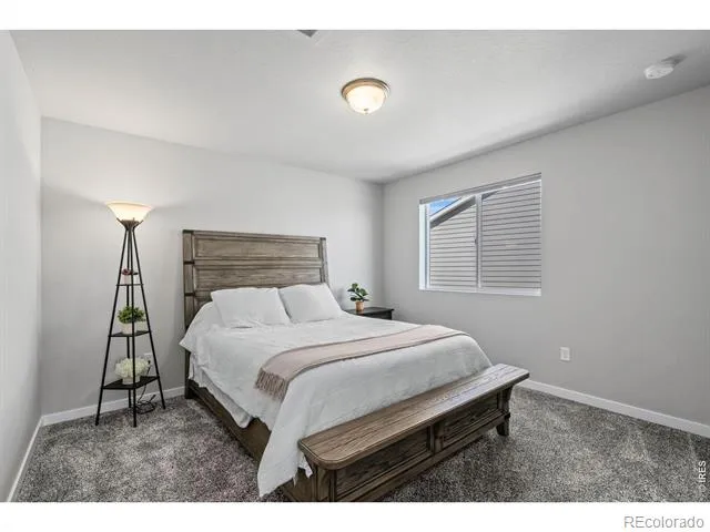 5523 Segundo Drive Loveland, CO 80538