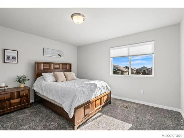 5523 Segundo Drive Loveland, CO 80538