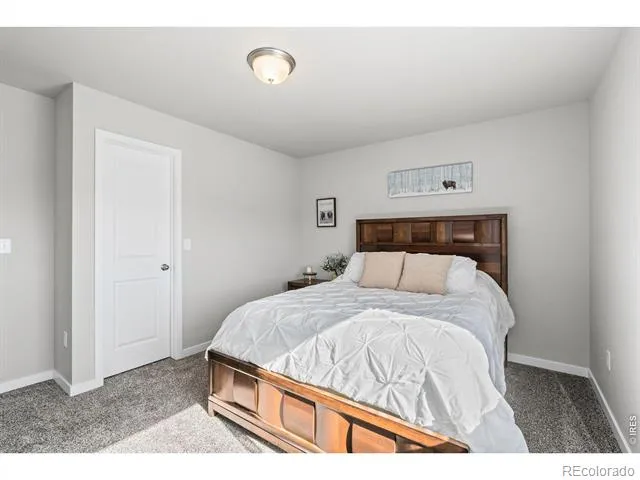 5523 Segundo Drive Loveland, CO 80538